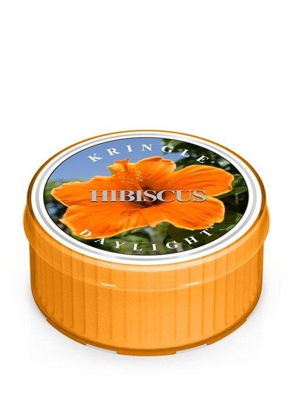 DAYLIGHT HIBISCUS