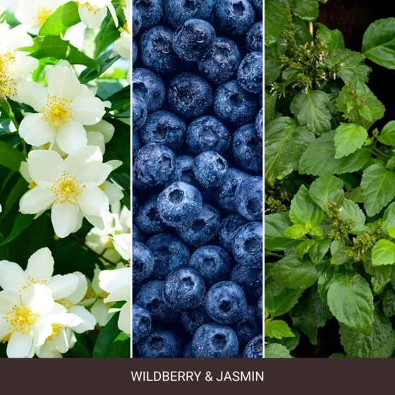 ŚWIECA ŚREDNIA WILDBERRY & JASMINE