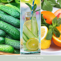 WOSK CUCUMBER MINT COOLER
