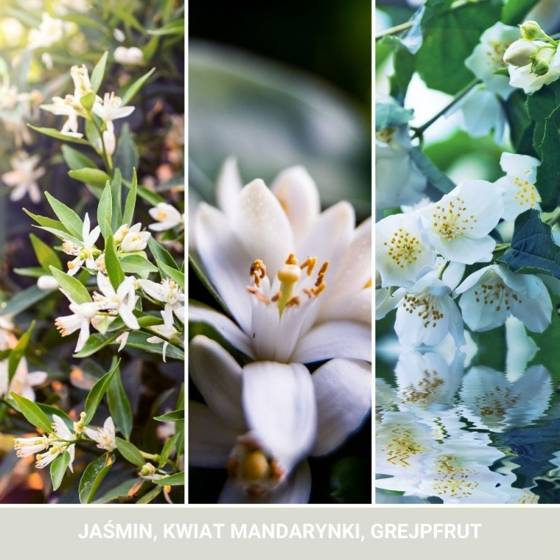 ŚWIECA SIGNATURE DUŻA MIDNIGHT JASMINE