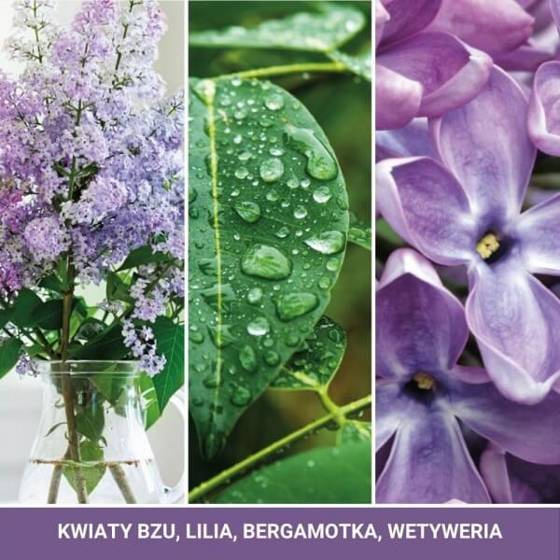 ŚWIECE MINI 3 PACK LILAC BLOSSOMS