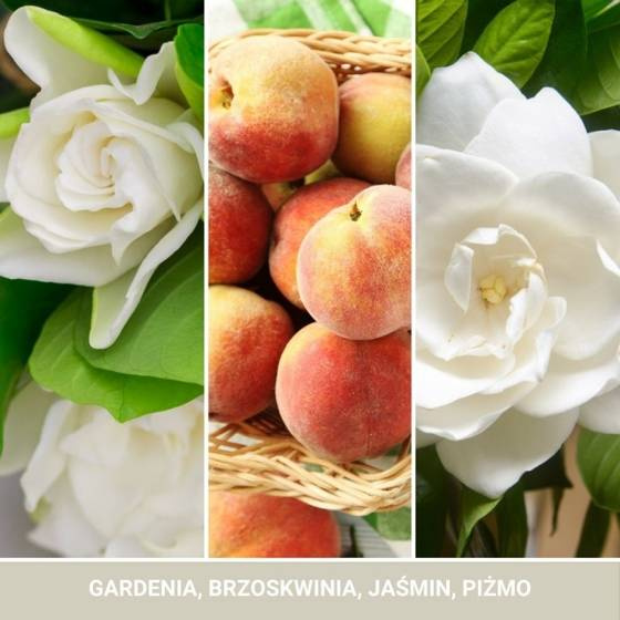 ŚWIECA SIGNATURE ŚREDNIA WHITE GARDENIA